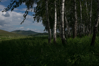 Many Estonians were loaded off the cattle cars in Sonskoe railway station and had to walk 30 km on this route to the village of Son with all their belongings.
